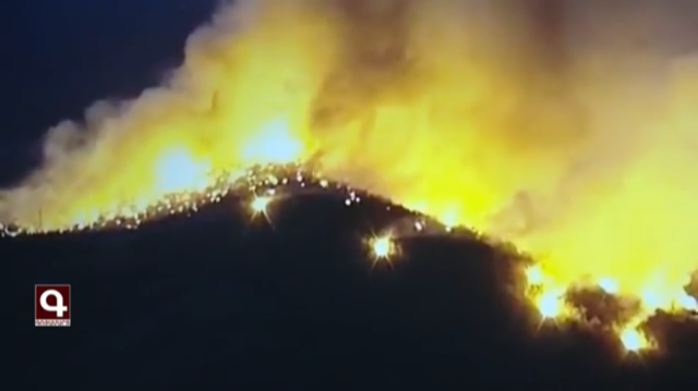 PRESSEERKLÄRUNG: Phosphorbomben zerstören große Waldfläche