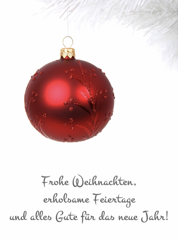 FROHE WEIHNACHTEN UND EINEN GUTEN RUTSCH INS NEUE JAHR 2019